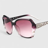 Avalynne - Sophisticated Sunglasses
